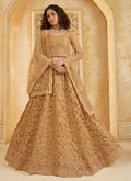 Copper Beige Embroidered Lehenga Choli