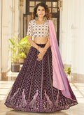 Deep Wine Multi Embroidery Lehenga Choli