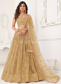 Beige Golden Traditional Wedding Lehenga Choli