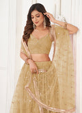 Buy Lehenga Choli 