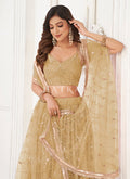 Buy Lehenga Choli 