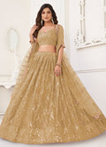 Shop Wedding Lehenga In USA, UK, Canada, Germany, Mauritius, Singapore With Free Shipping Worldwide.