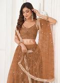 Buy Lehenga Choli 