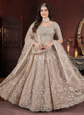 Light Brown Multi Embroidery Anarkali