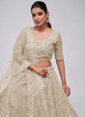 Buy Lehenga Choli With Dupatta 