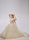 Shop Designer Lehenga Choli