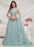 Shop Designer Lehenga Choli