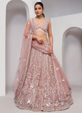 Blush Pink Thread And Sequence Embroidery Traditional Wedding Lehenga