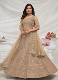 Shop Indian Lehenga Choli Online