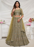 Olive Green Multi Embroidery Lehenga Choli For Wedding