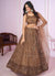 Copper Brown Sequence Embroidery Traditional Festive Lehenga Choli