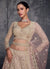 Buy Lehenga Choli 