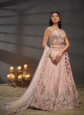 Shop Traditional Lehenga Choli