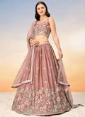 Shop Latest Wedding Lehenga Choli In USA, UK, Canada, Germany, Australia, Singapore, France, Italy, Mauritius, Netherlands, Austria, Egypt, Turkey With Free International Shipping Worldwide.