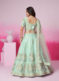 Buy Bridal Lehenga Choli In Turkey