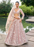 Nude Pink Traditional Embroidery Bridal Lehenga Choli