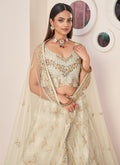 Buy Lehenga Choli 