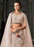 Buy Lehenga Choli And Dupatta 