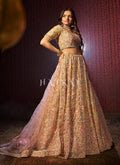 Beige Embroidery Bridal Lehenga Choli