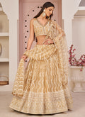 Yellow Embroidered Lehenga Choli