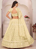 Shop Indian Lehenga