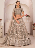 Light Brown Embroidered Lehenga Choli