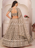 Light Brown Lehenga Choli