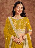 Buy Lehenga Choli