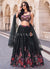 Black Multicolored Handwork Lehenga Choli