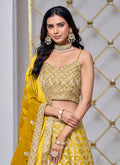 Buy Lehenga Choli 