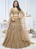 Hazel Brown Traditional Embroidery Bridal Lehenga Choli