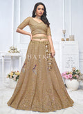 Brown Lehenga Choli