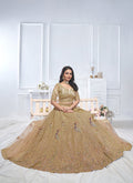 Buy Indian Wedding Lehenga Choli