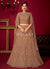 Light Brown Embroidery Lehenga Choli