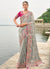 Light Grey And Pink Multi Embroidery Saree