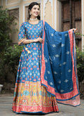 Blue Multi-colored Digital Printed Anarkali Gown