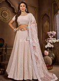 Baby Pink Embroidered Wedding Lehenga Choli