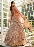 Brown Bridal Lehenga Choli