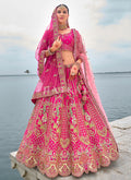 Rani Pink Multi Embroidered Traditional Lehenga Choli