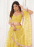 Buy Lehenga Choli