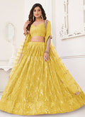 Ready To Wear Indian Lehenga Choli