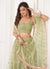 Light Green Lehenga Choli