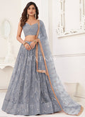 Light Grey Traditional Wedding Lehenga Choli