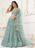 Ready To Wear Indian Lehenga Choli