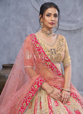 Buy Lehenga Choli