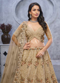 Brown Lehenga Choli