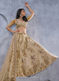 Buy Indian Lehenga Outfits 