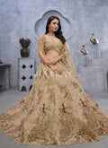 Latest Designer Lehenga Choli for Women
