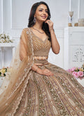 Brown Lehenga Choli