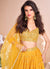 Buy Lehenga Choli